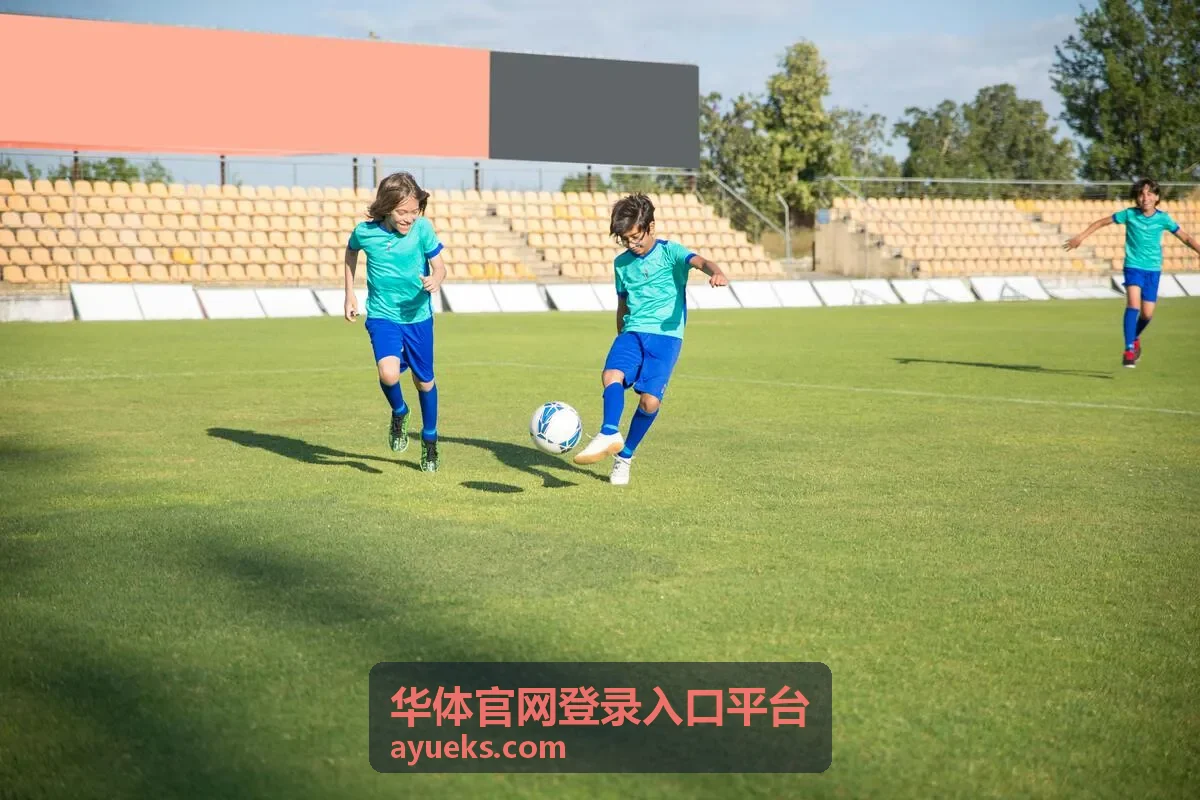 华体官网登录入口平台会员权益与票务对比说明